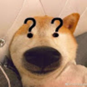 Meet your Posher, Han